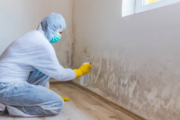 Mold Remediation specialist working in Oxford