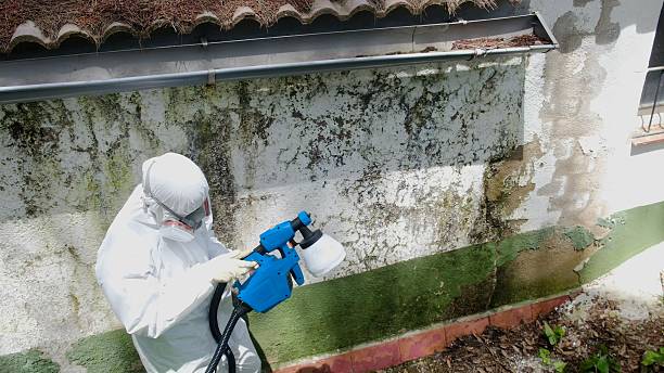 Mold Remediation service in Oxford, Oxford, NC